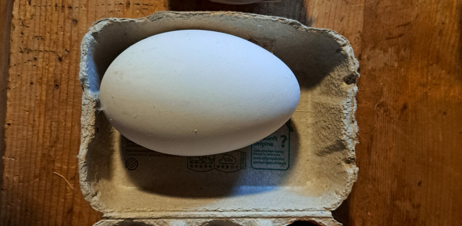 🥚Uovo da Record